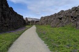 Thingvellir