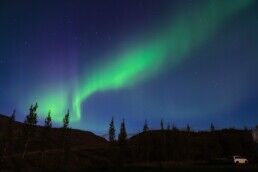 are there trees in Iceland