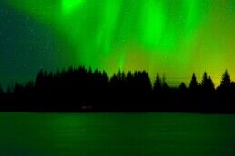 Northern Lights dance over a treeline in Iceland