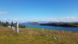 Lake Thingvallavatn of Iceland