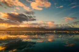 lagoon in iceland