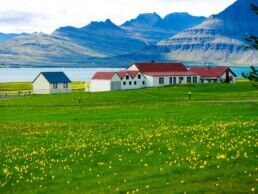 spring in Iceland