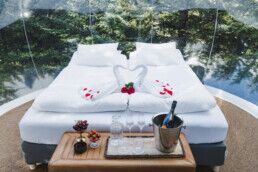 Iceland honeymoon